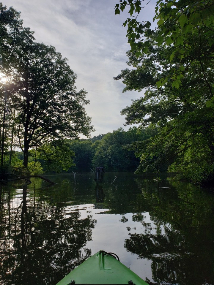 Kayaking