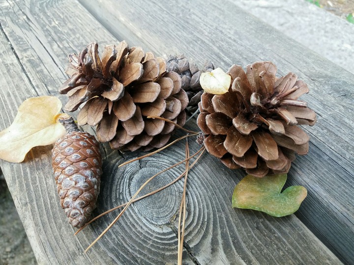 Autunno