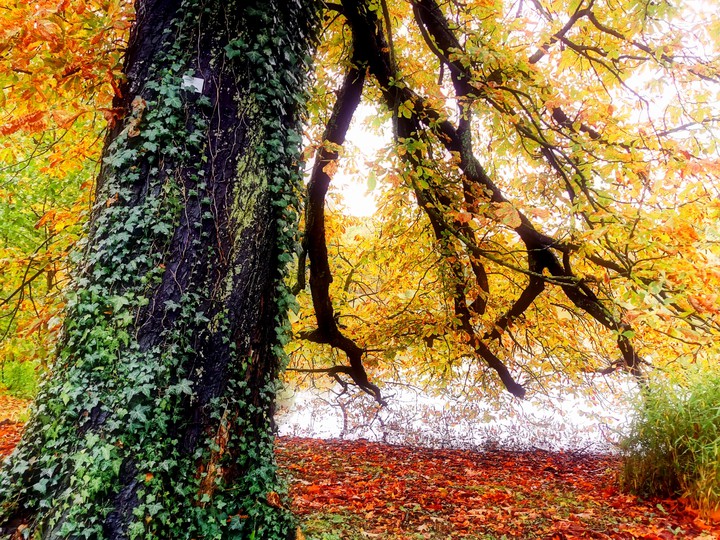 Herbst 2019