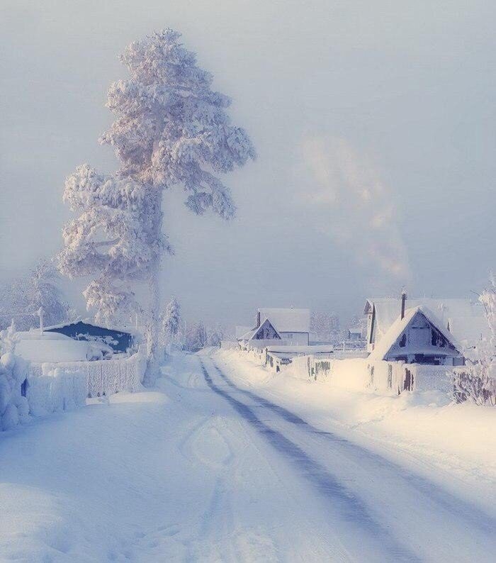 Winter