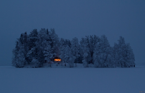 L'hiver / Winter / New Year / Зима
