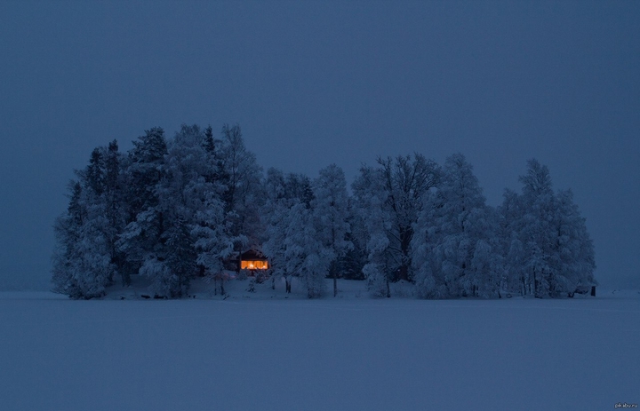 L'hiver / Winter / New Year / Зима