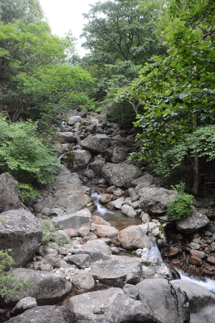 지리산이미지