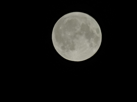 circle, moonlight wallpapers