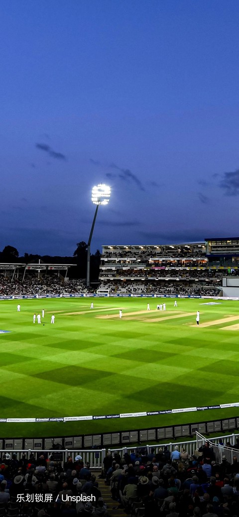 cricket