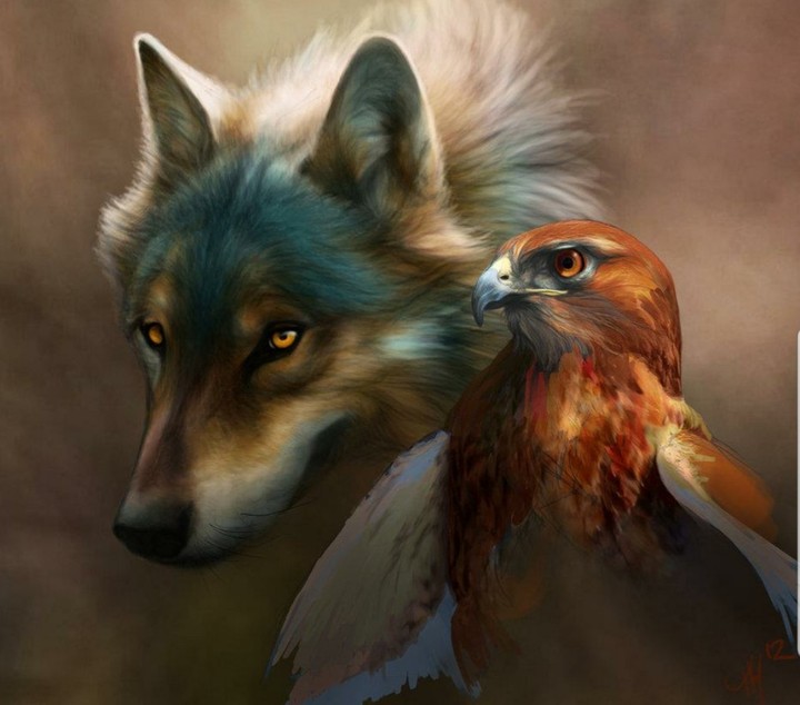 Strong Companions