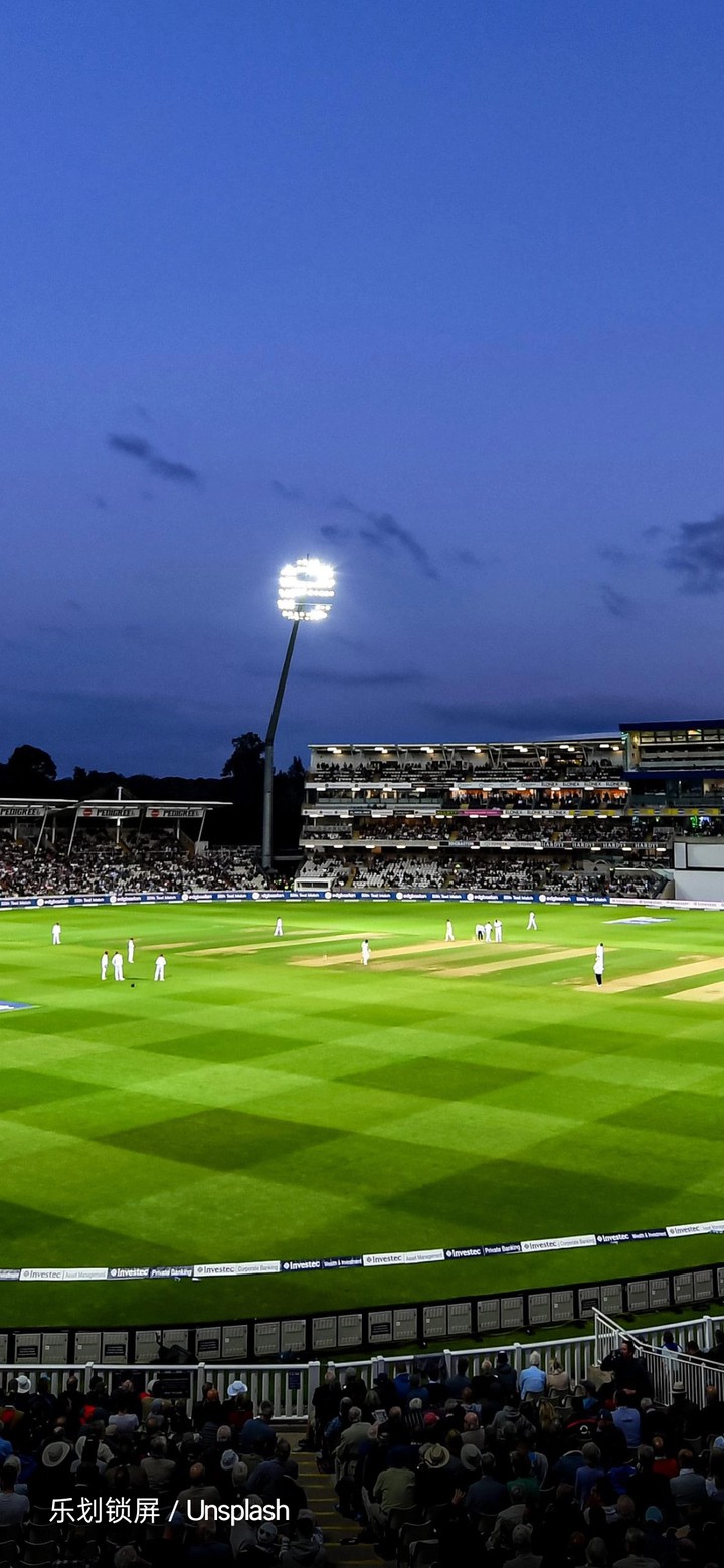 cricket