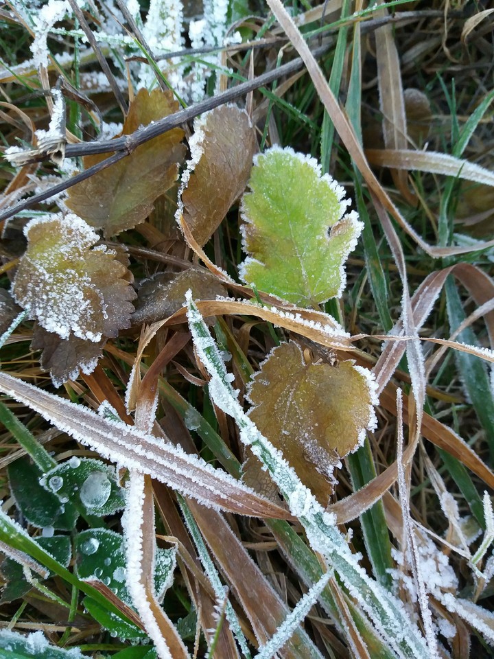 winter