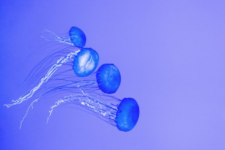 0000