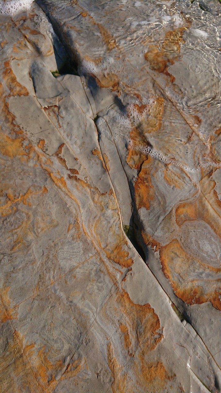 sea stone