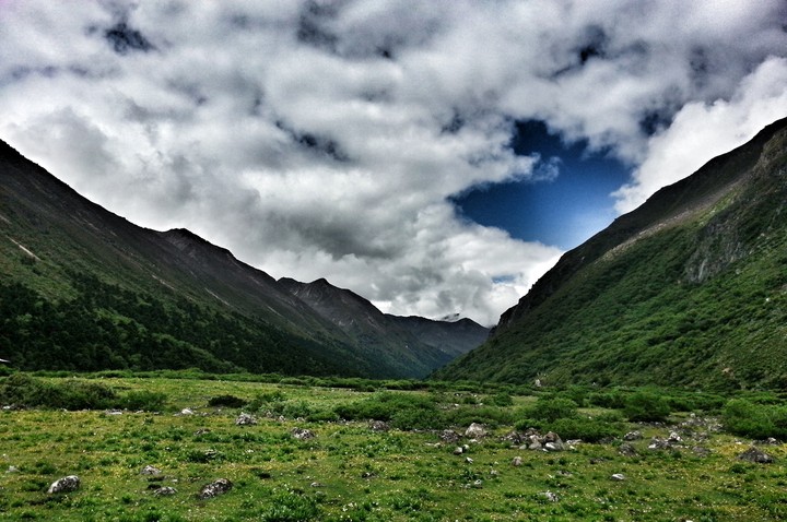 beautiful mountains in their full bloom