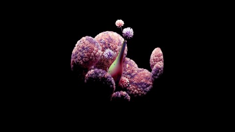 Science, reef duvar kağıtları