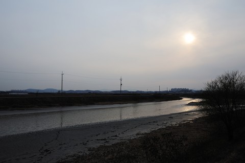 Scenics
