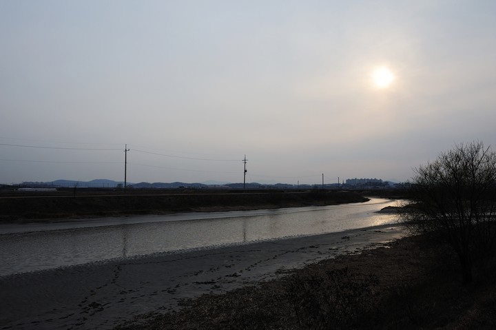 Scenics