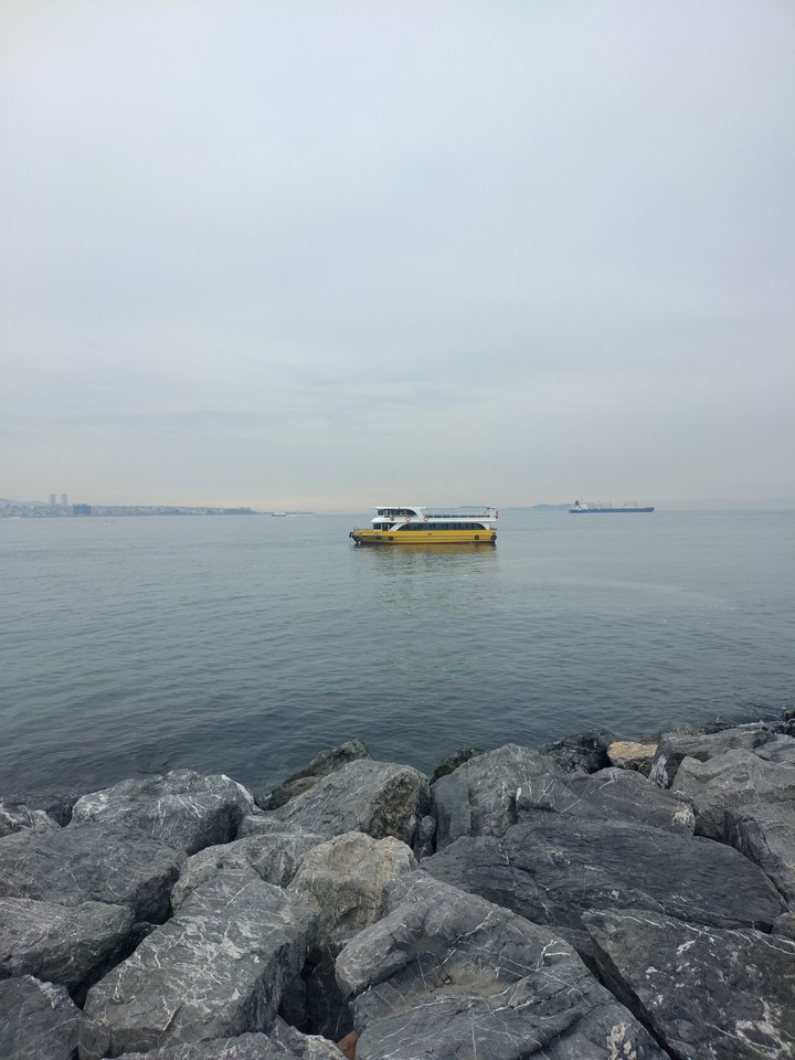 Ship in the Bosphorus
