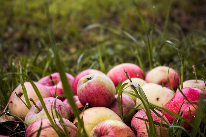 Apple's