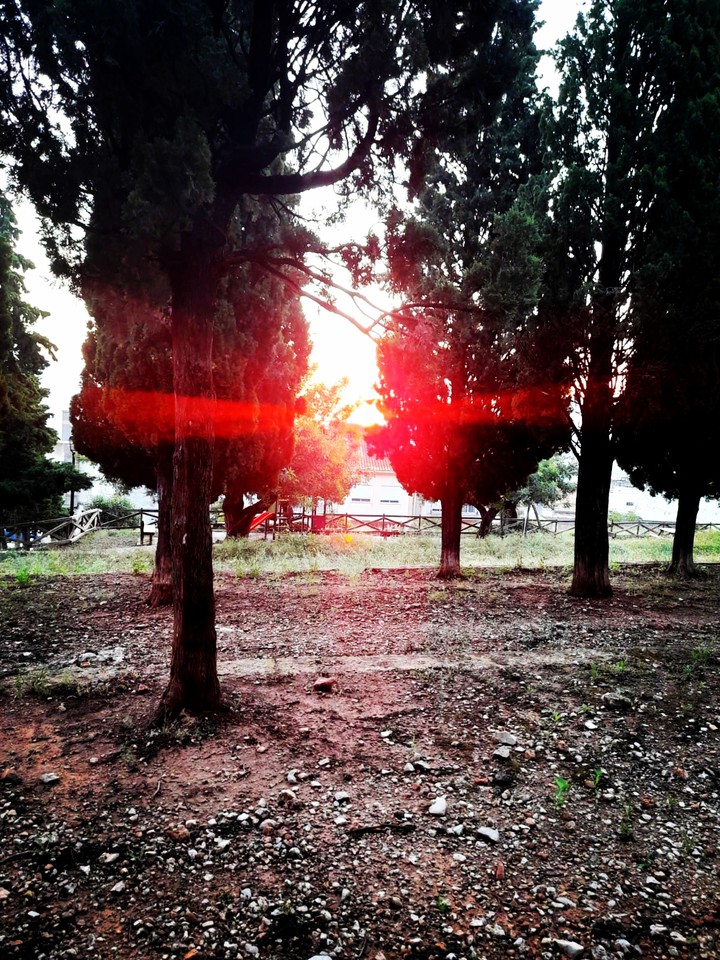 morning sunbeams