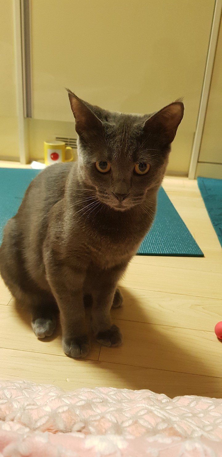 귀엽잖아