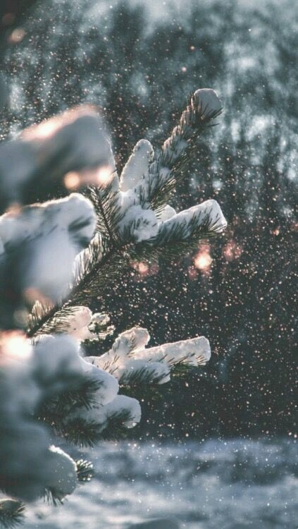 winter