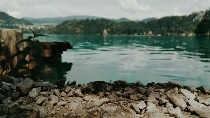 Bled