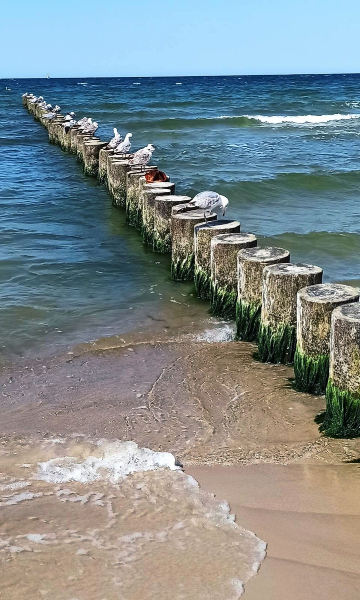 baltik sea