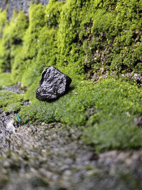 Rock