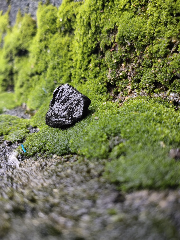 Rock