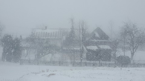 Winter