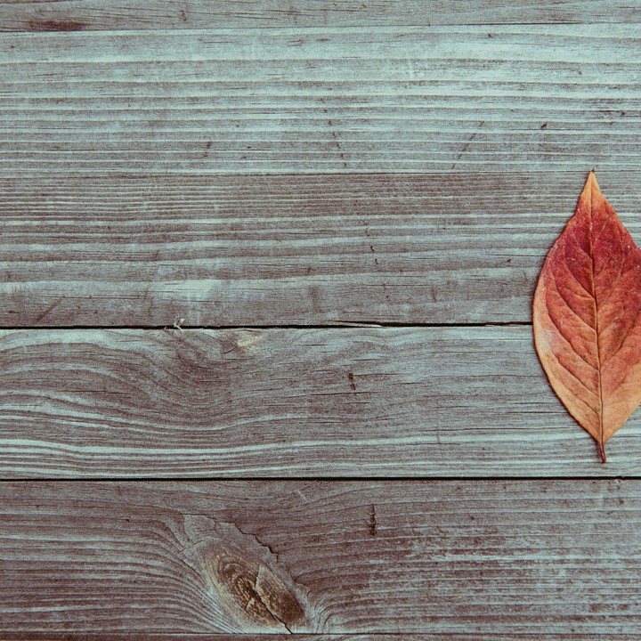 Red Leaf In Brown Wood Plank