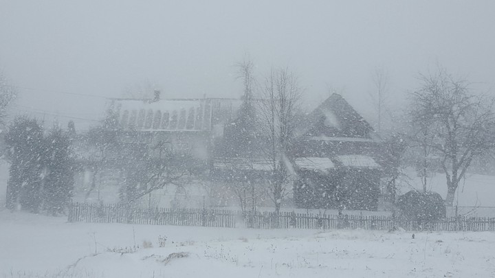 Winter