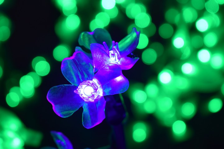 lights