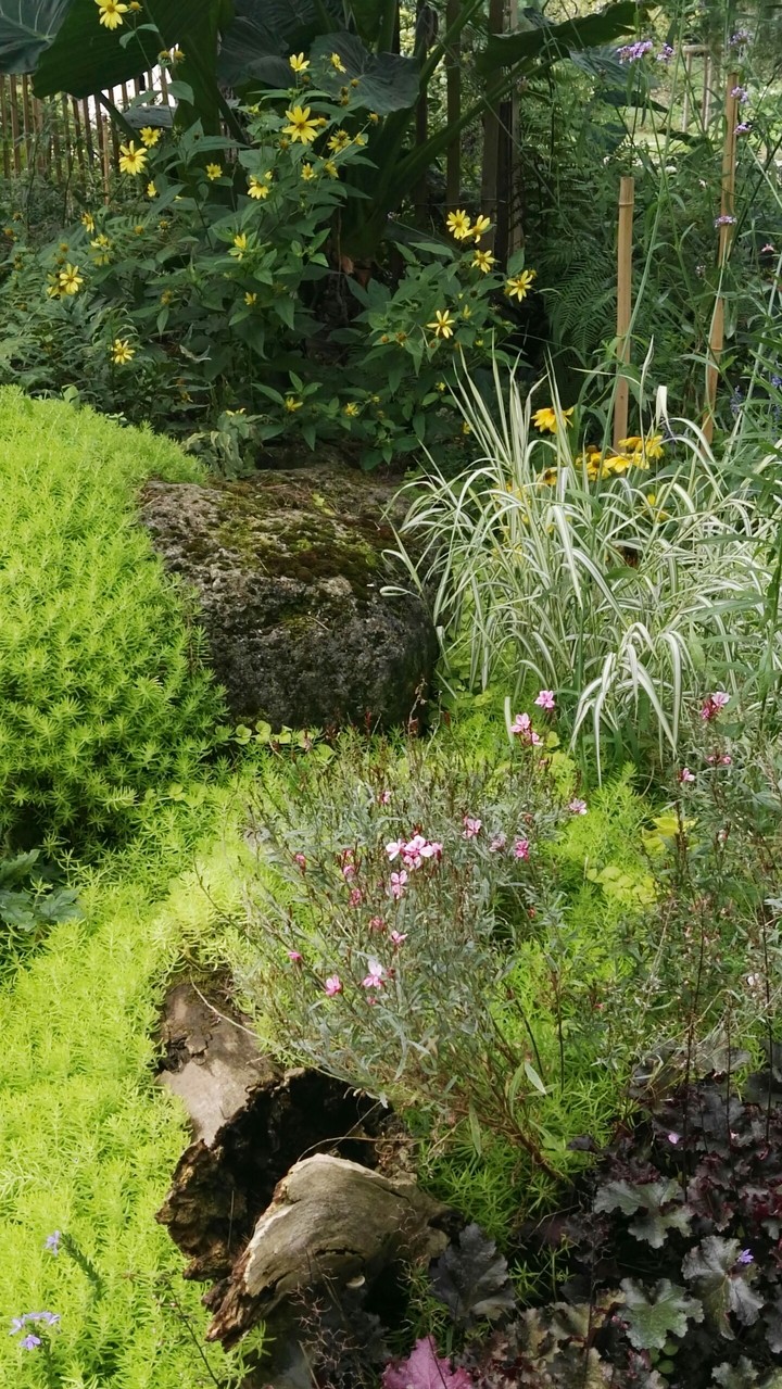 Naturaleza