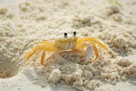 ✨✨