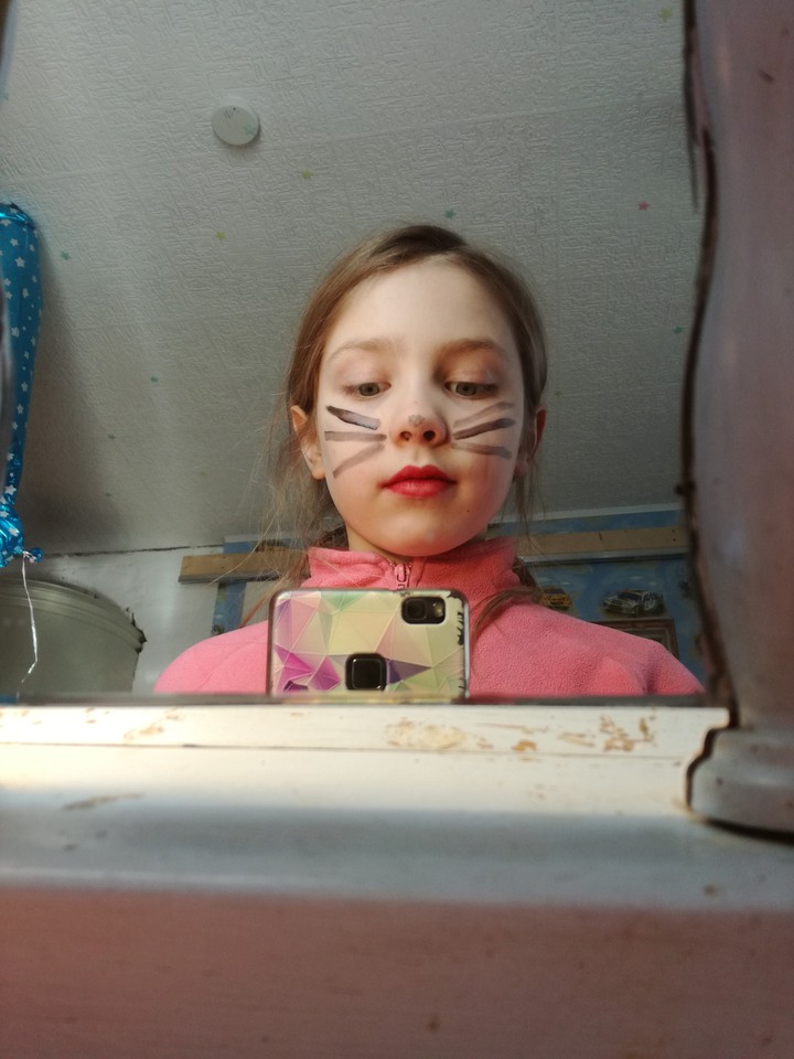 cat