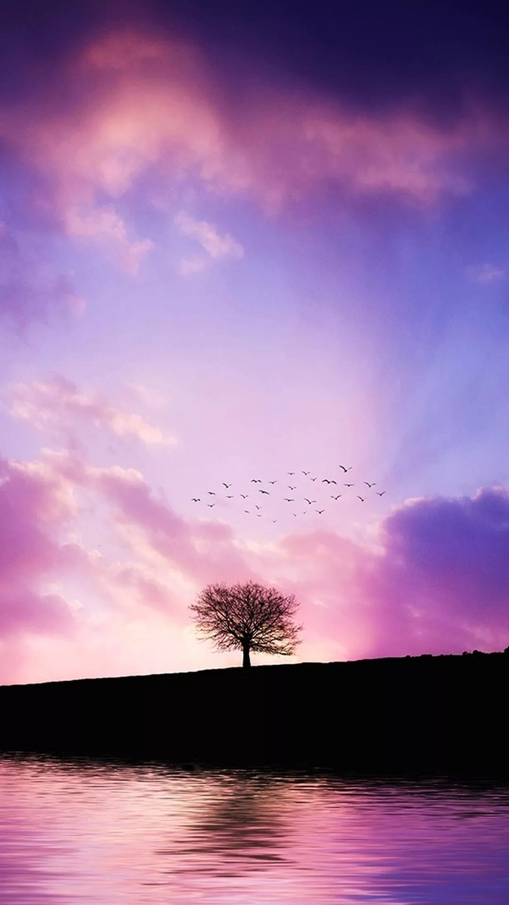 peace