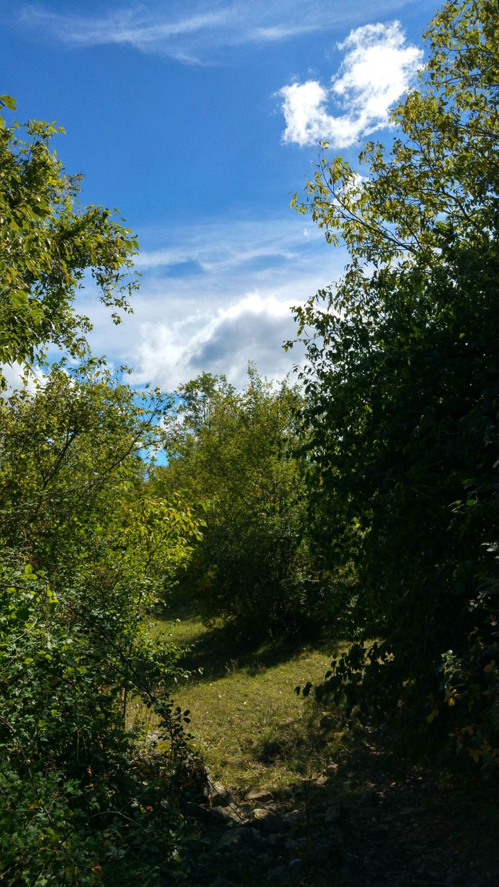 Nature