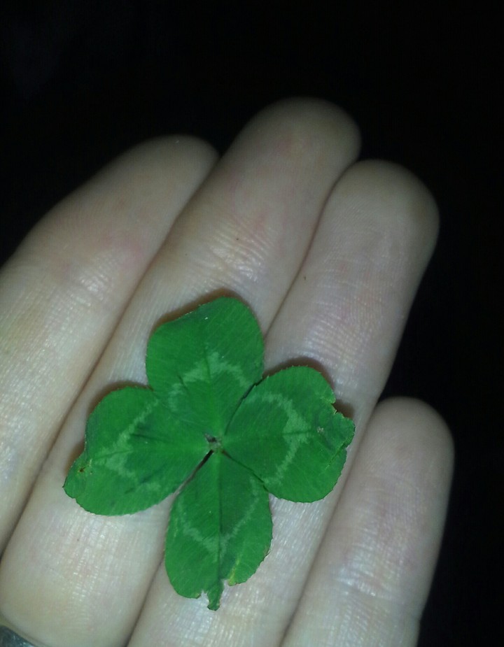 Lucky