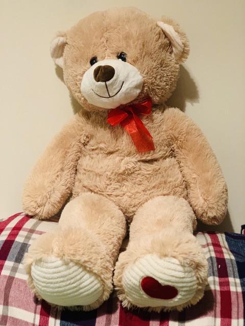 teddy love