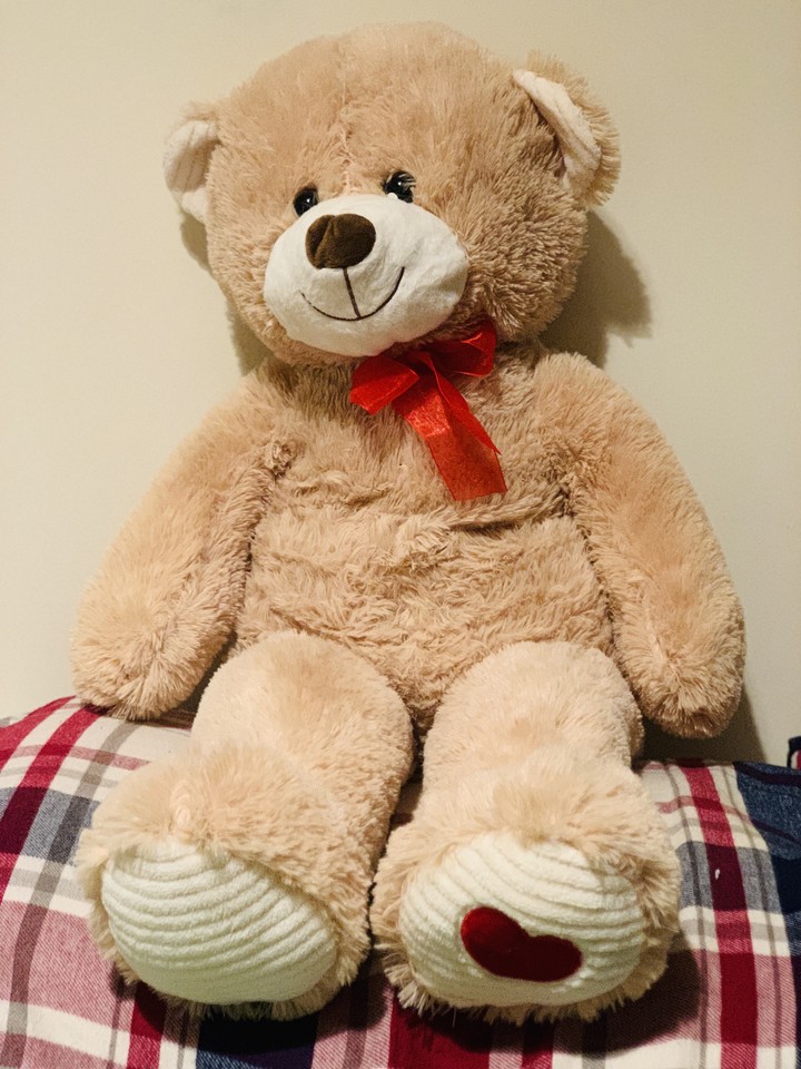 teddy love