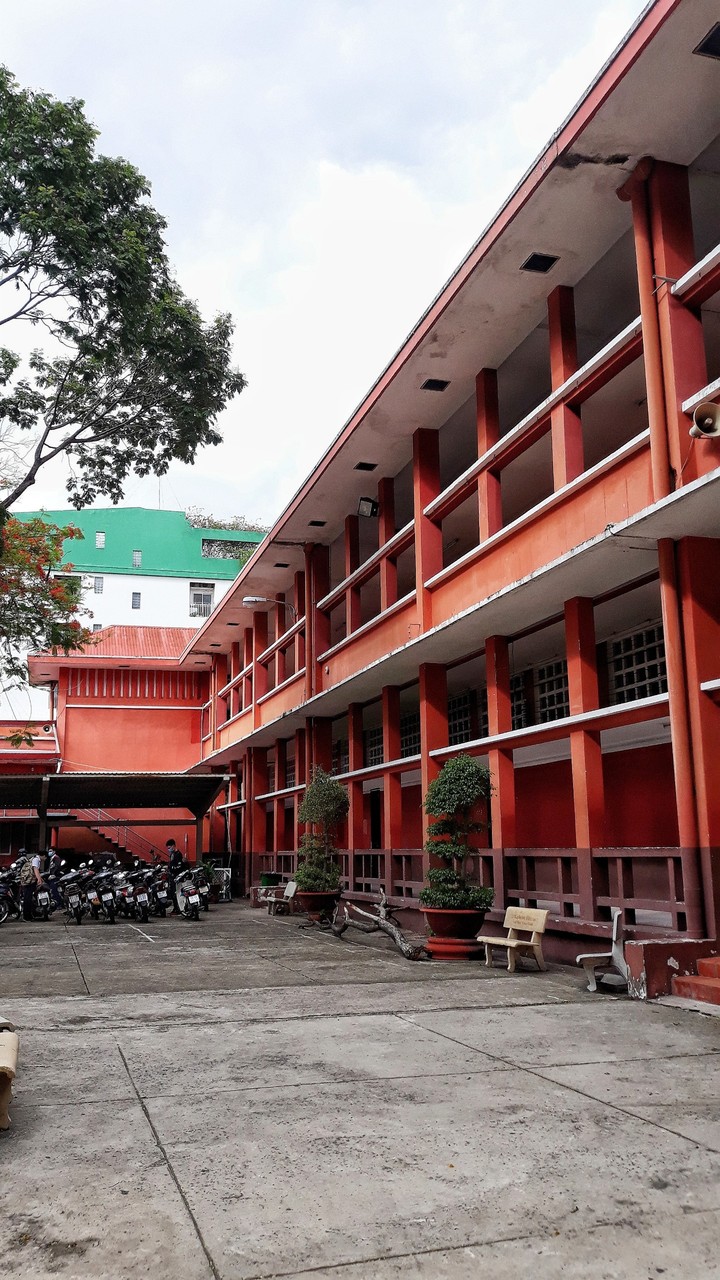 my school