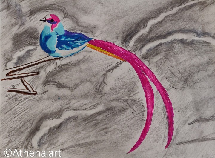 Bird among clouds