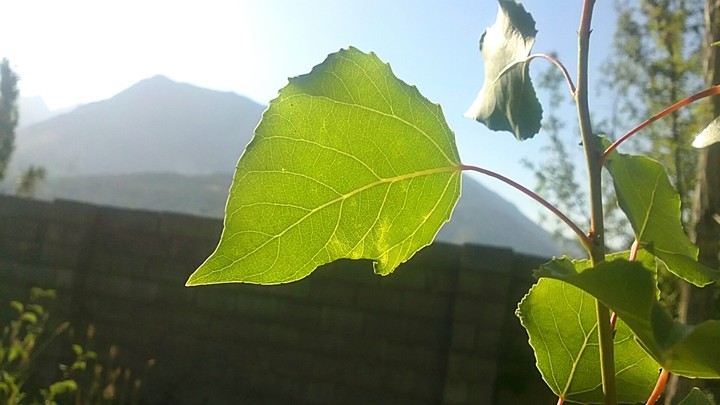 winter sun....