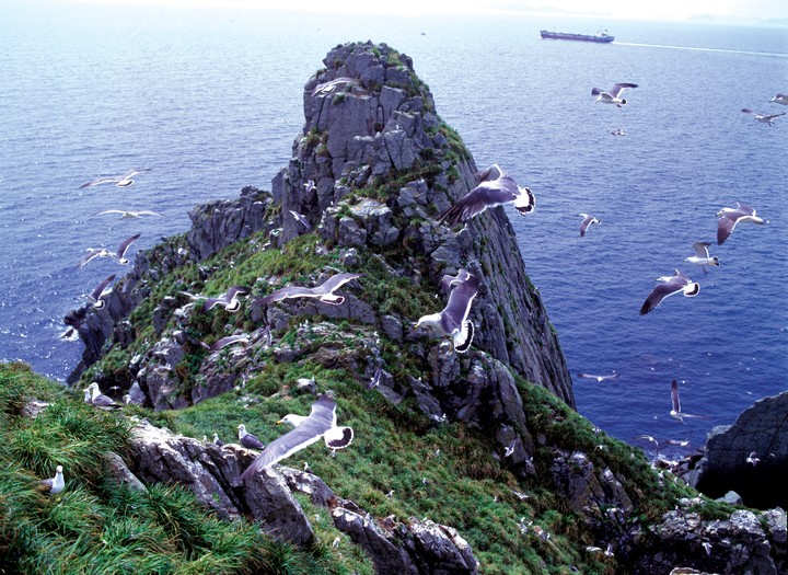 Scenics