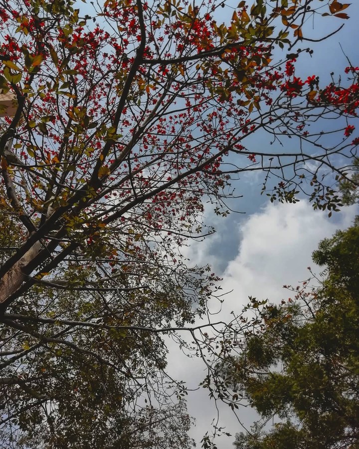 Spring and Hope