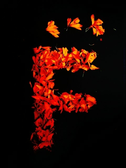 made by someone special
