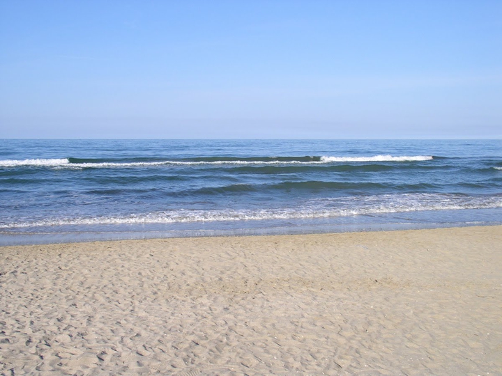 mare
