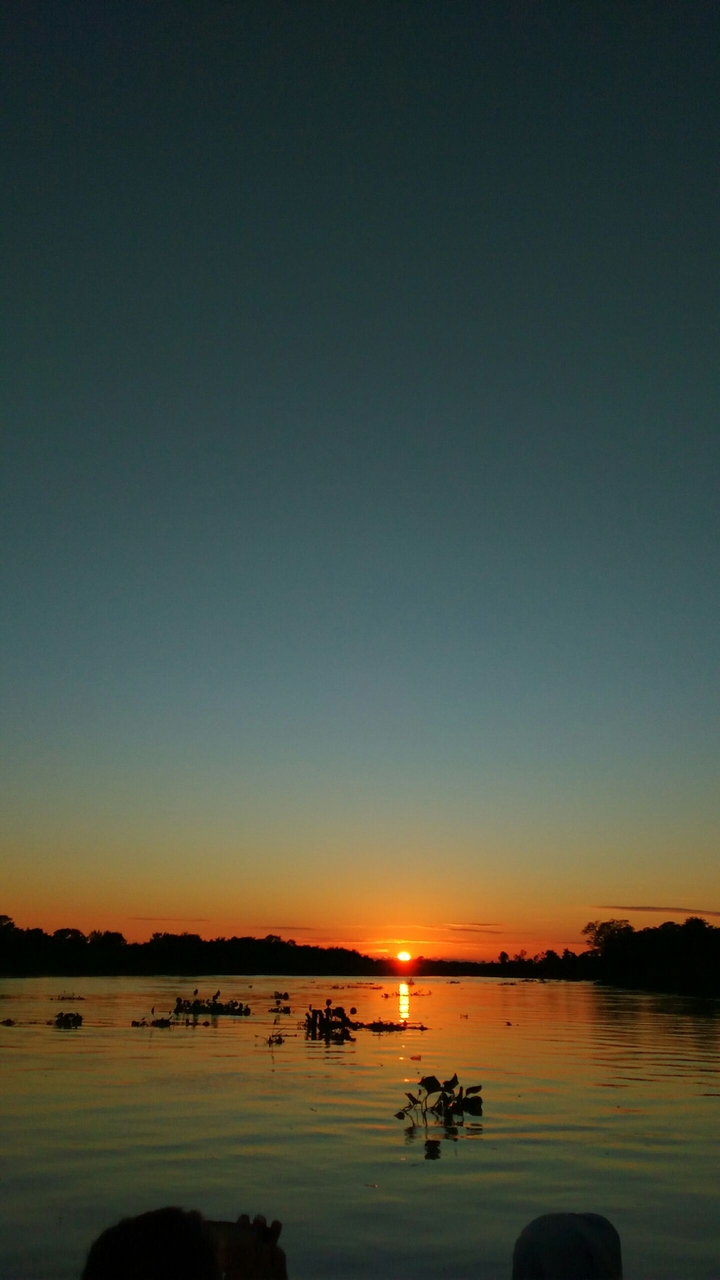 Pantanal Sunset