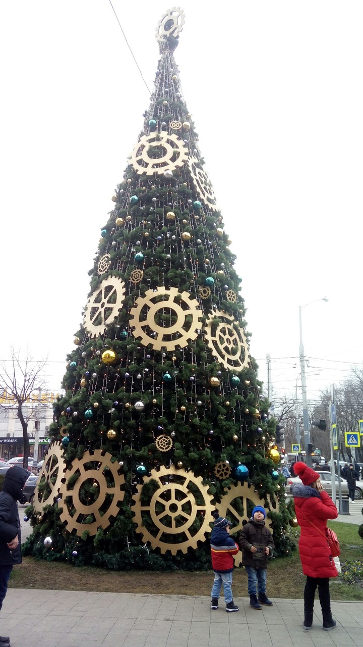 Елка в Краснодаре