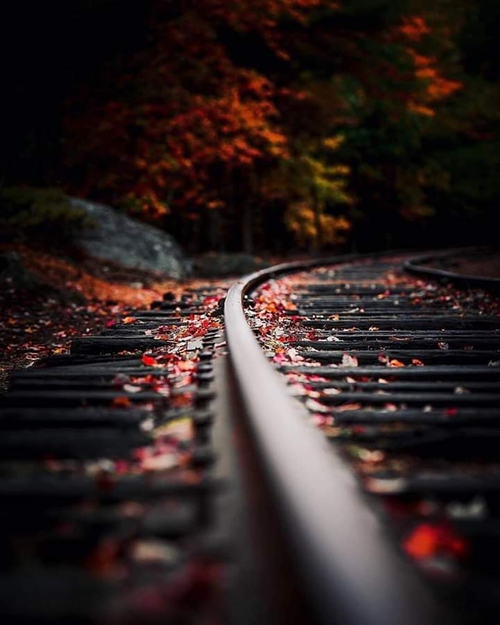 train