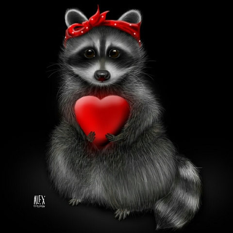 mammal, raccoon Hintergrundbilder
